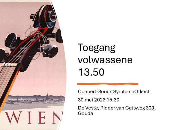 Ticket volwassene