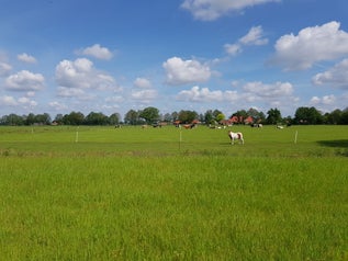 20220522_110523.jpg
