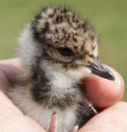 Bezoek onze actiesite