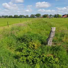 20220522_110720.jpg