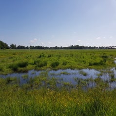 20220522_095344.jpg