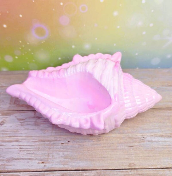 Muschelschale