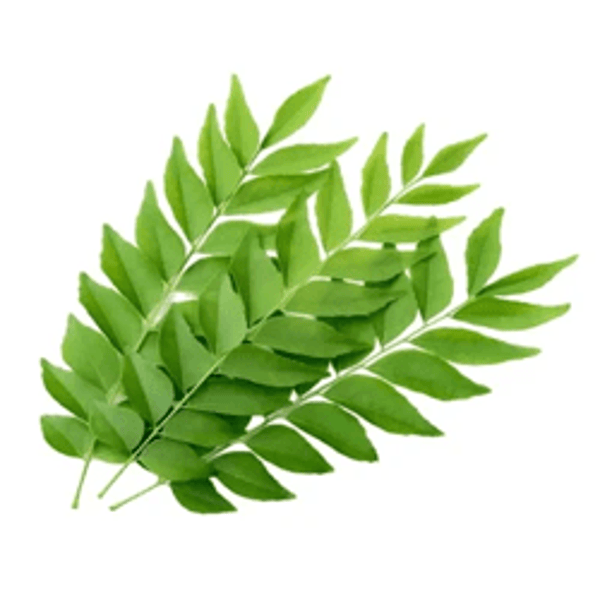 Curry Leaves (Kadipatta)