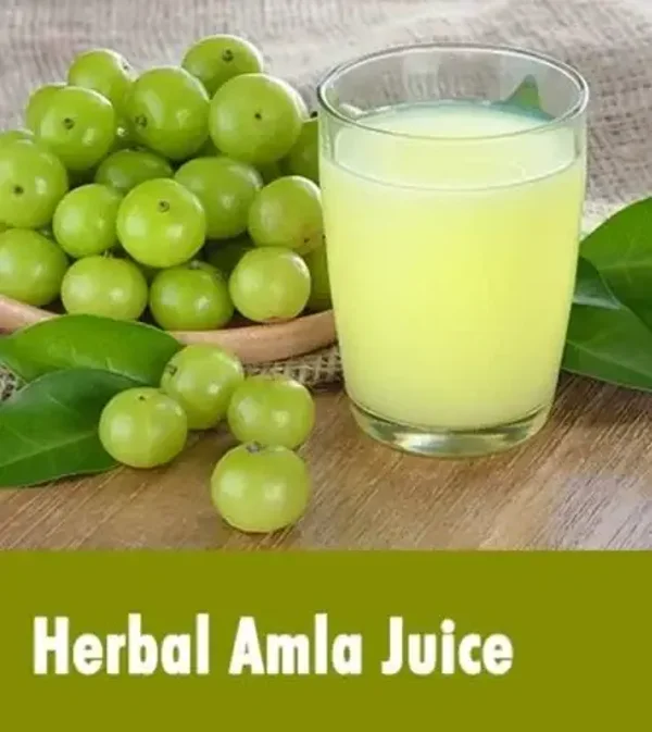 VedaOne Amla Juice 500ml