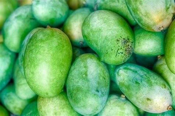 Raw Mango (Kaccha Aam) 250g