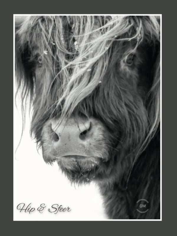 Tuinposter Hooglander zwart wit