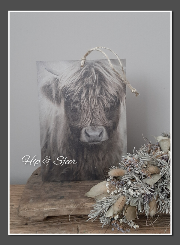 Decobordje hooglander jong nr. 6