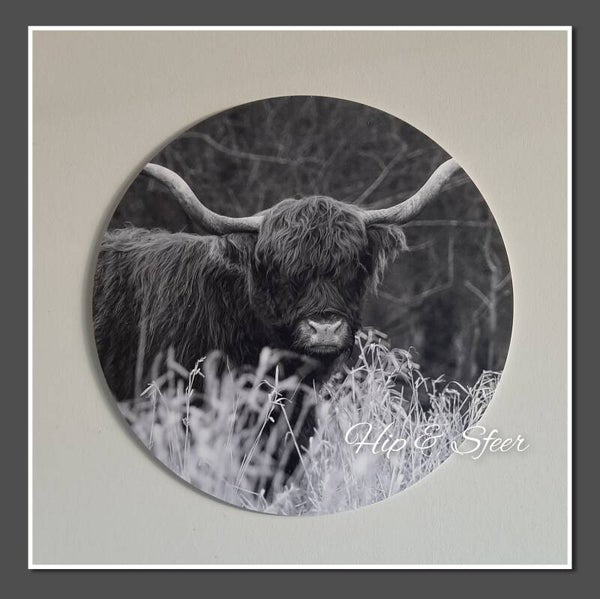 Muurcirkel Hooglander zwart wit