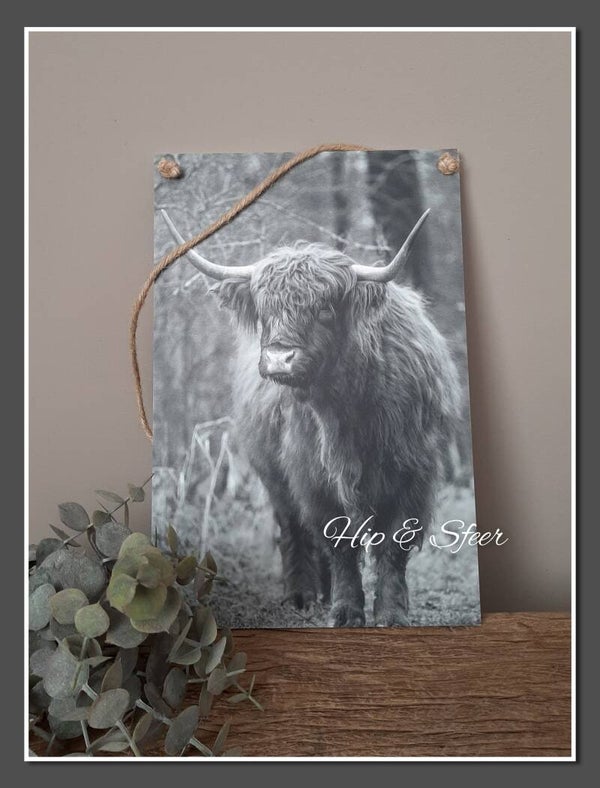 Wandbord hooglander zwart wit