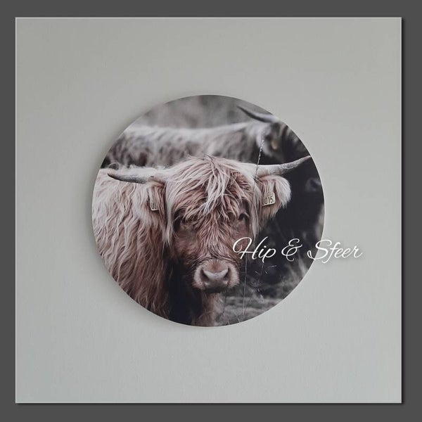 Muurcirkel Hooglander kop kleur 30cm