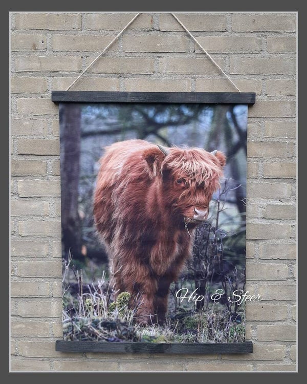 Wanddoek Hooglander kleur