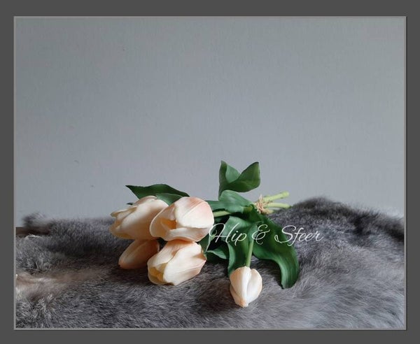 Kunsttulpen Crème