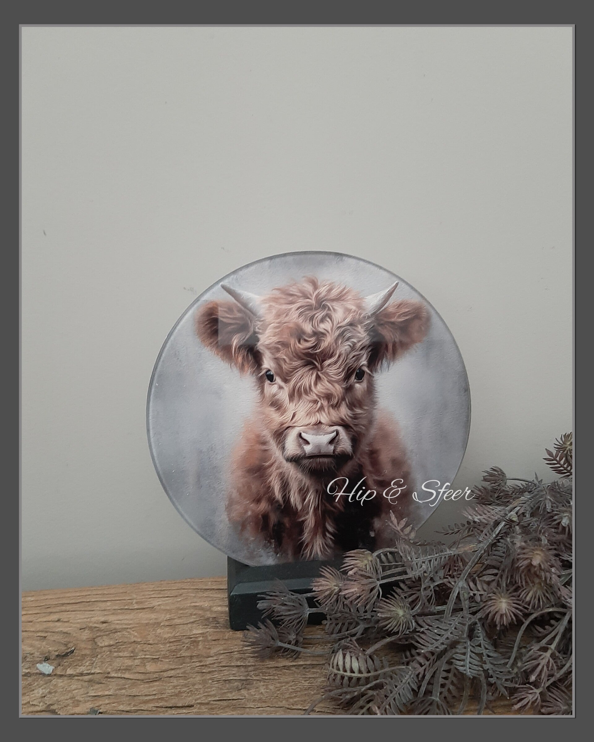 Glasschilderij cirkel Hooglander kleur