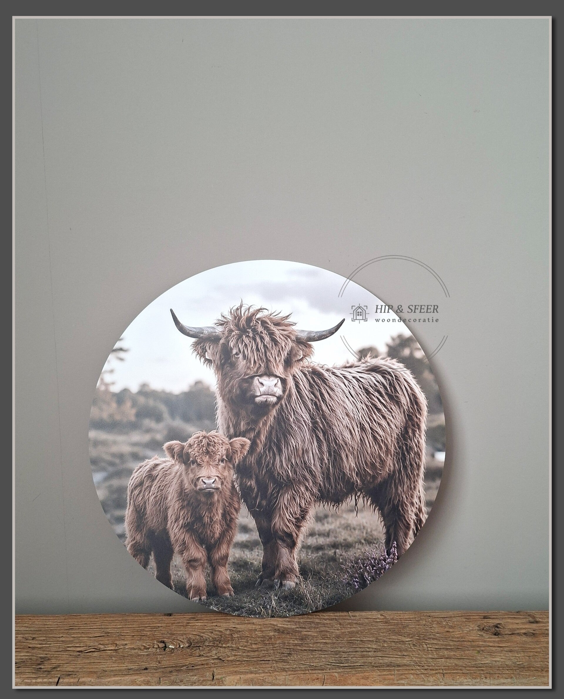 Muurcirkel Hooglanders