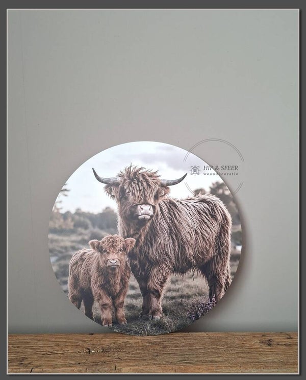 Muurcirkel Hooglanders