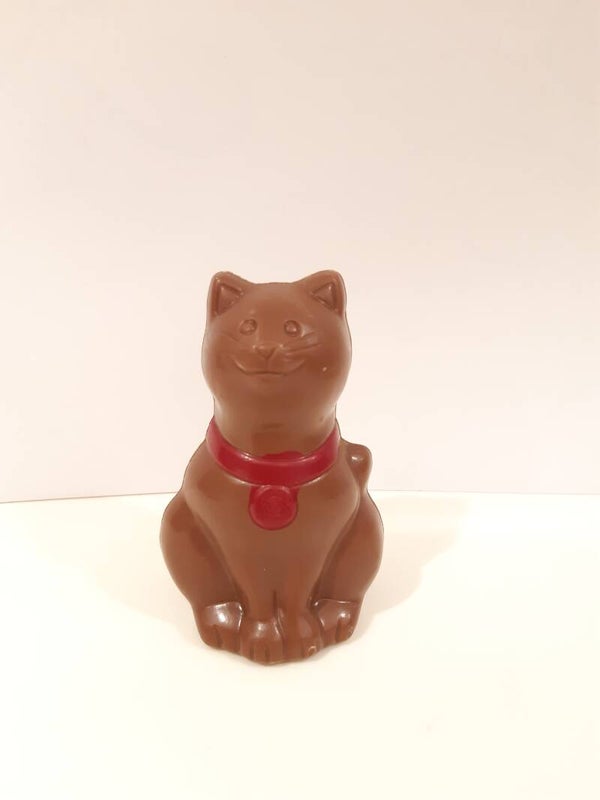 Gekleurd katje melkchocolade of fondant