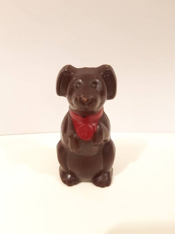 Gekleurd hondje melkchocolade of fondant