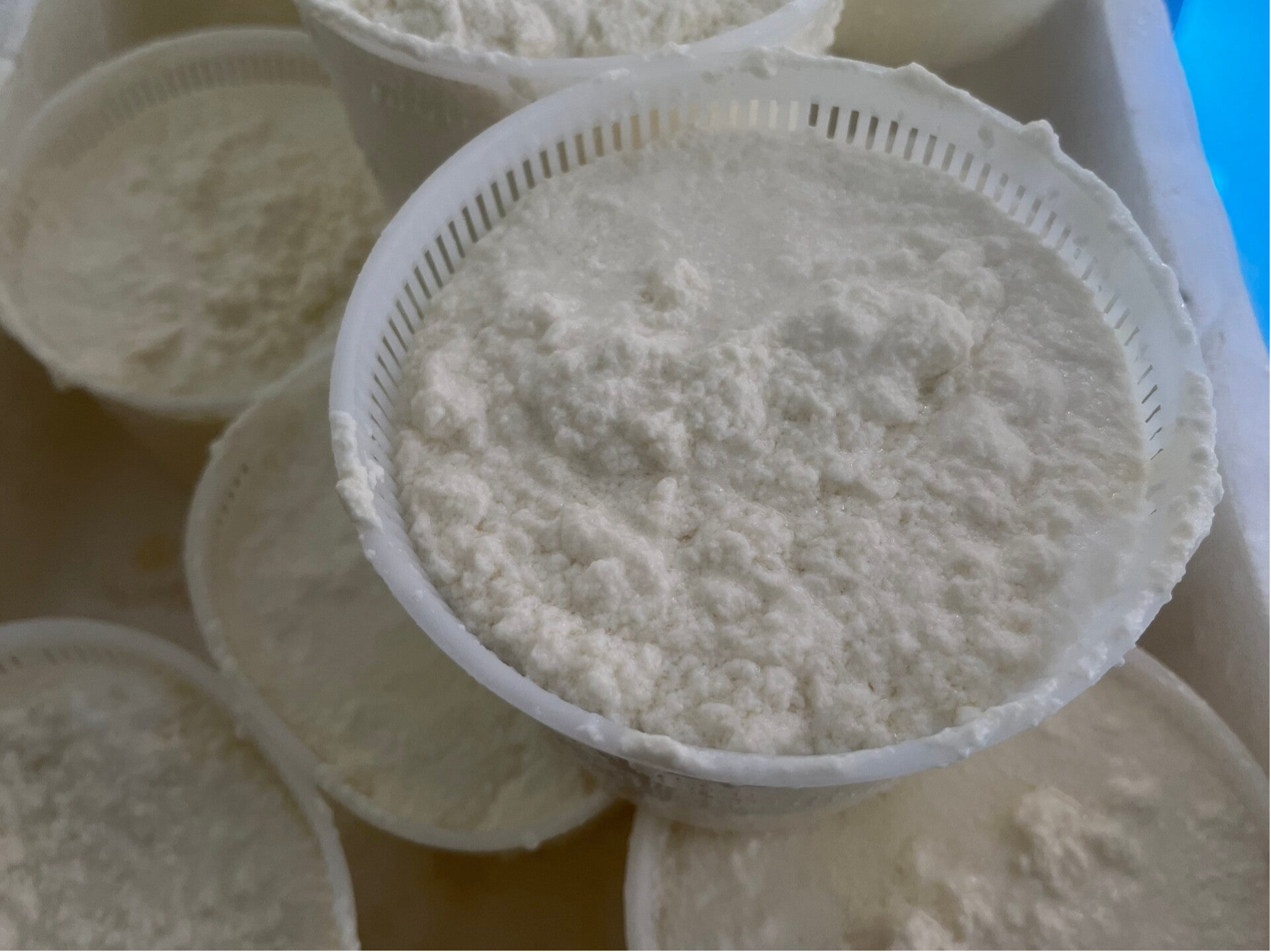 Ricotta