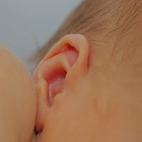 IMG_3607-1.jpg