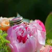 IMG_1627-1.jpg
