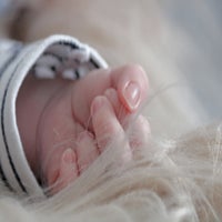 IMG_6643-1-1.jpg