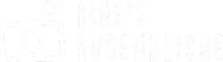 Binesaugenblicke
