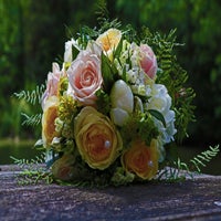 IMG_1610-1.jpg