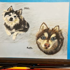 kai-rolo-standard.jpg