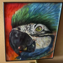 parrot-standard.jpg