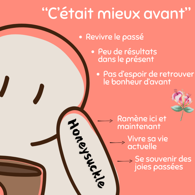 Honeysuckle - fleurs de Bach - émotions - bien-être intérieur - paix