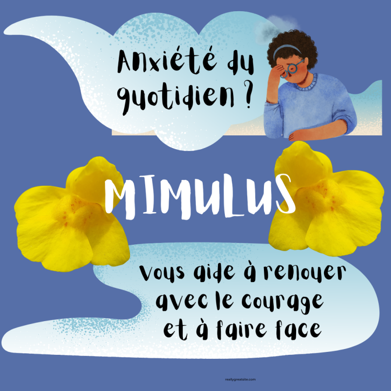 Mimulus - fleurs de Bach - émotions - bien-être intérieur - paix