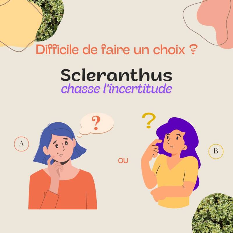 Scleratnhus - fleurs de Bach - émotions - bien-être intérieur - paix