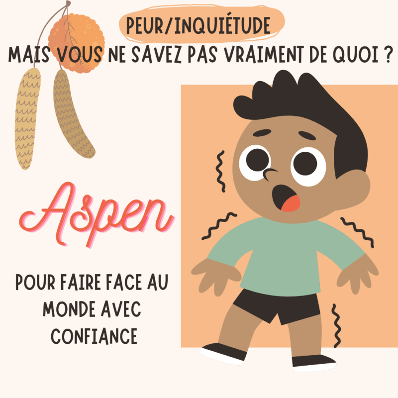 Aspen - fleurs de Bach - émotions - bien-être intérieur - paix