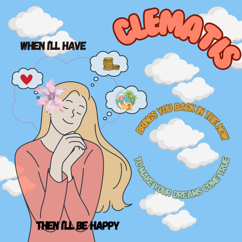 Clematis - Bach remedies - emotions - inner well-being - peace