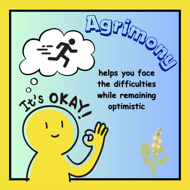 Agrimony - Bach remedies - emotions - inner well-being - peace