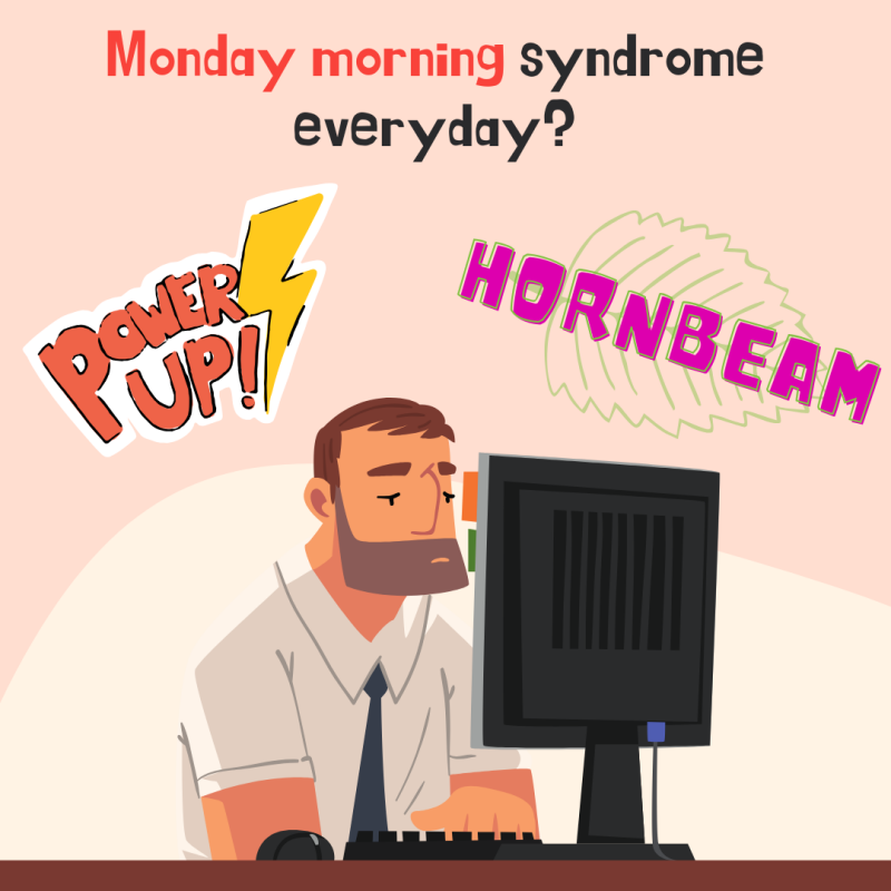 Hornbeam - Bach remedies - emotions - inner well-being - peace