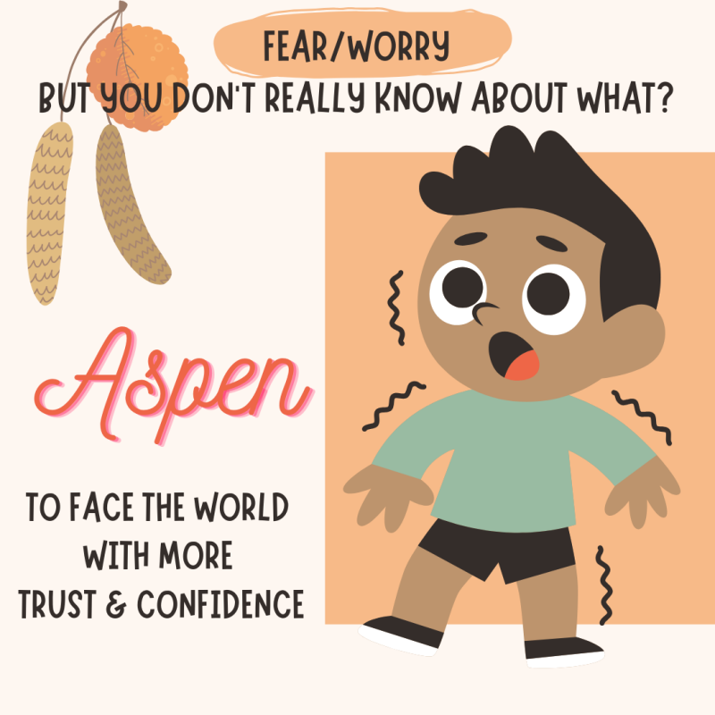 Aspen - Bach remedies - emotions - inner well-being - peace