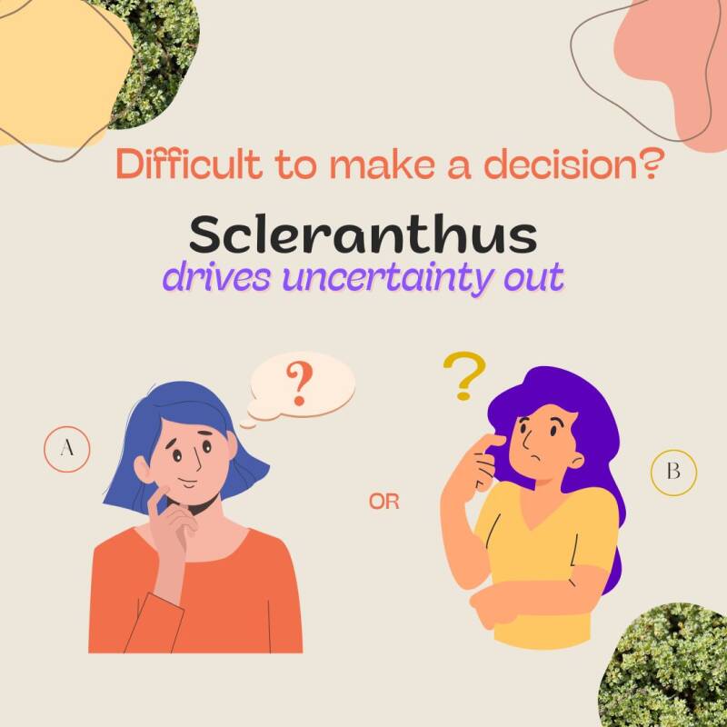 Scleranthus - Bach remedies - emotions - inner well-being - peace