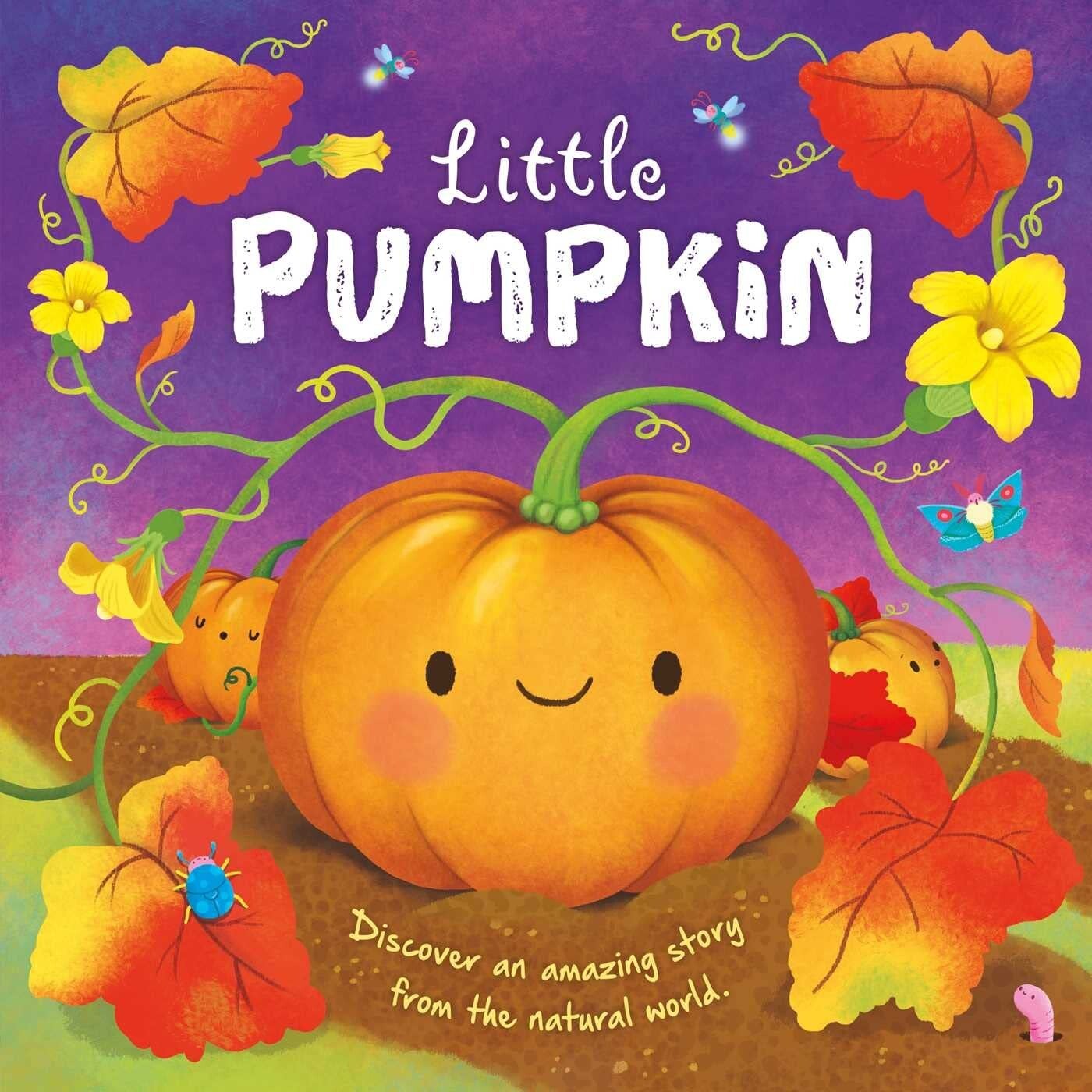Little Pumpkin (Board Book)