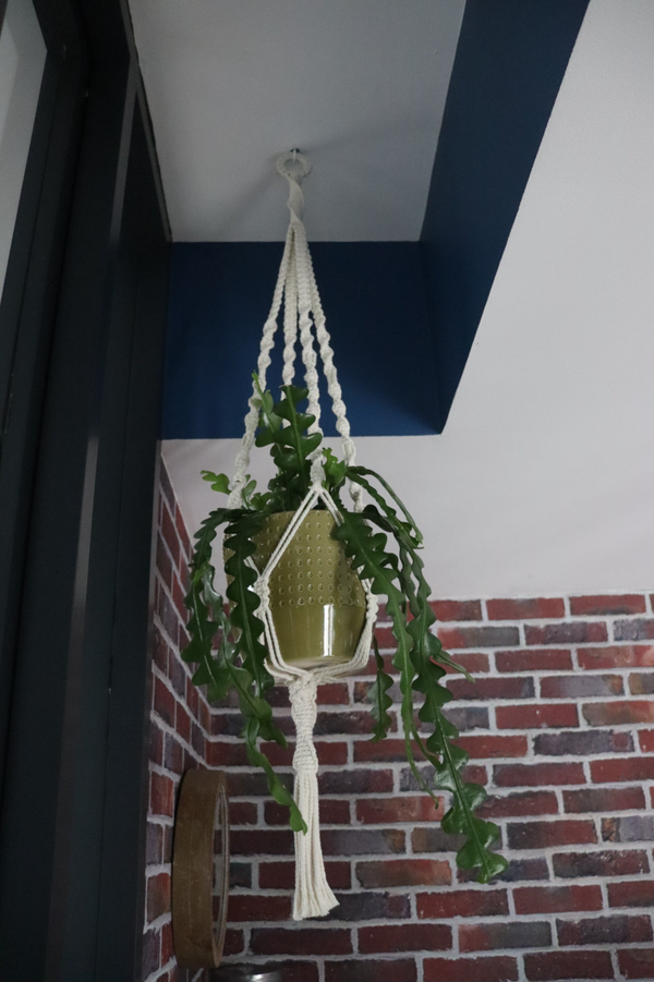 BOTANICA_ SUSPENSION MACRAME COTON TRESSE ECRU