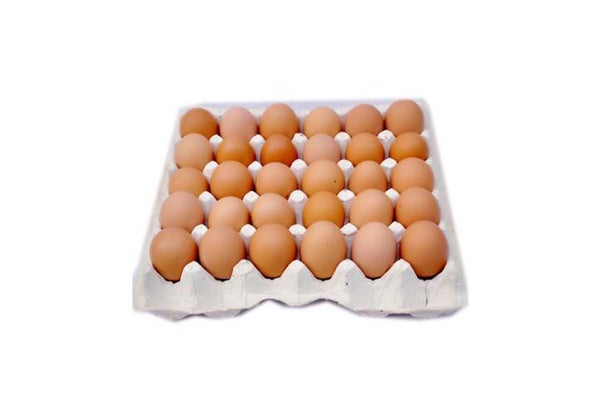 Eggs Crate (Large)