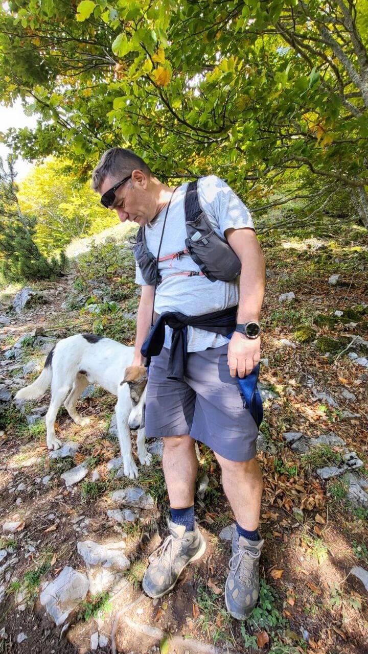 Reiseleiter und die Wilde Hunde