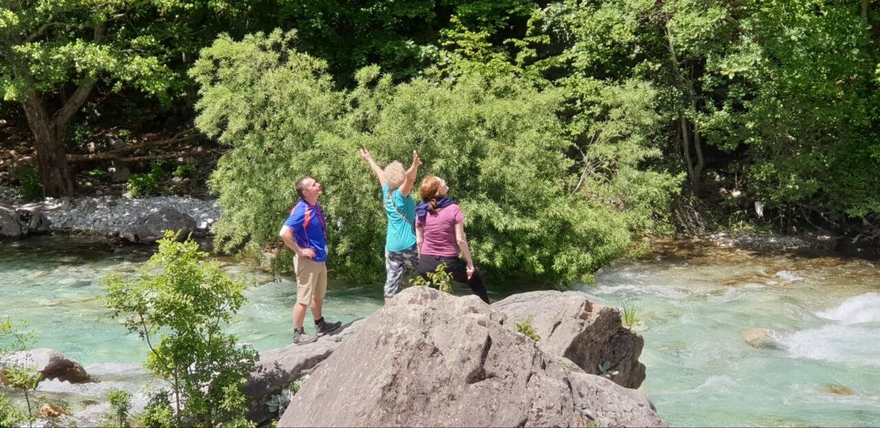 Valbona Fluss