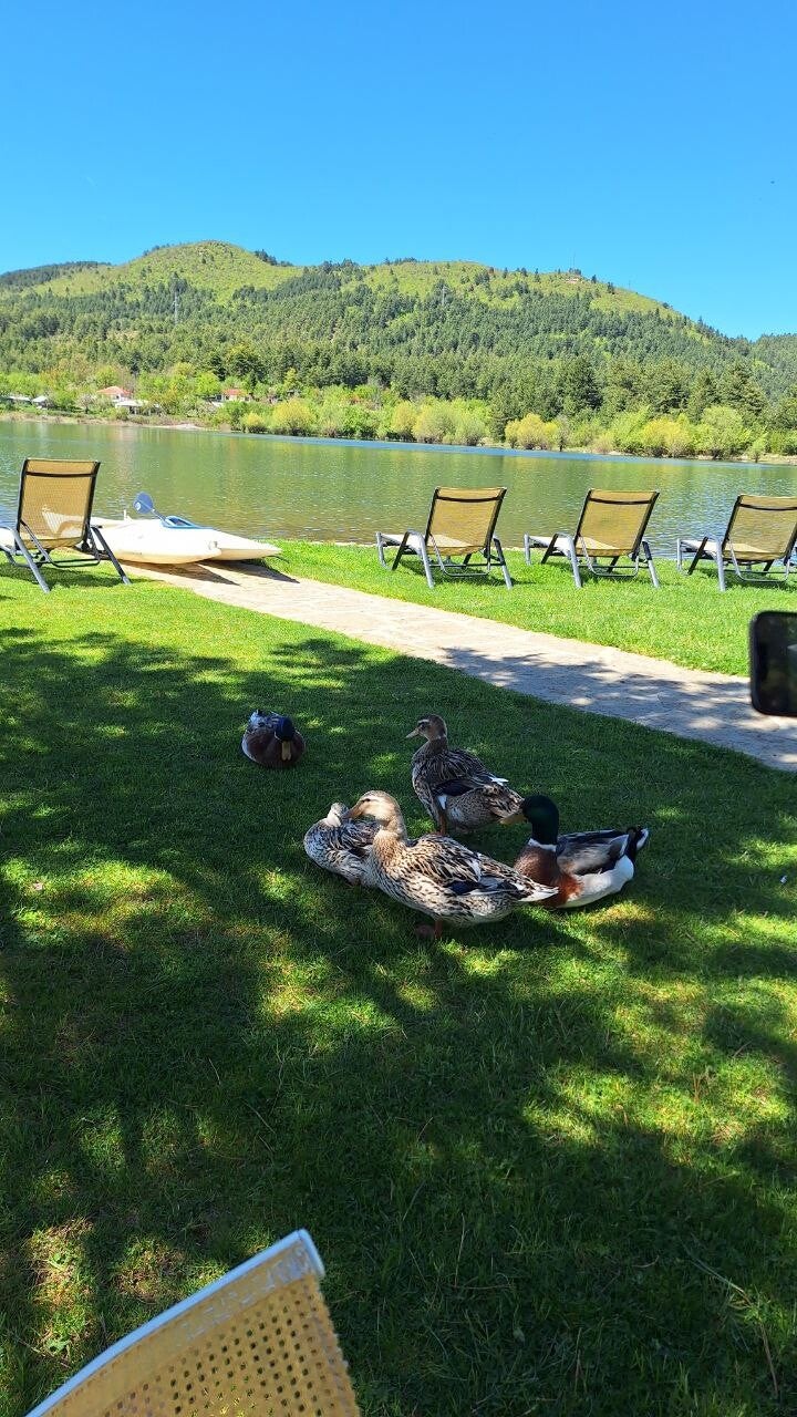Mezini Restaurant in Shelegur 