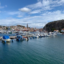 img_6796.jpg