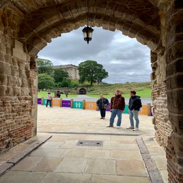 img_9481.jpeg