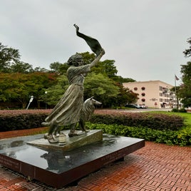 img_2754-standard.jpg