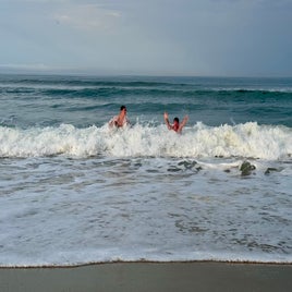 img_3260-standard.jpg