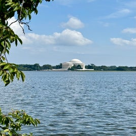 img_3960-standard.jpg
