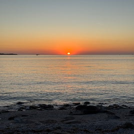 img_6380-standard.jpg